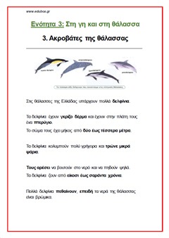 3. ΑΚΡΟΒΑΤΕΣ ΤΗΣ ΘΑΛΑΣΣΑΣ